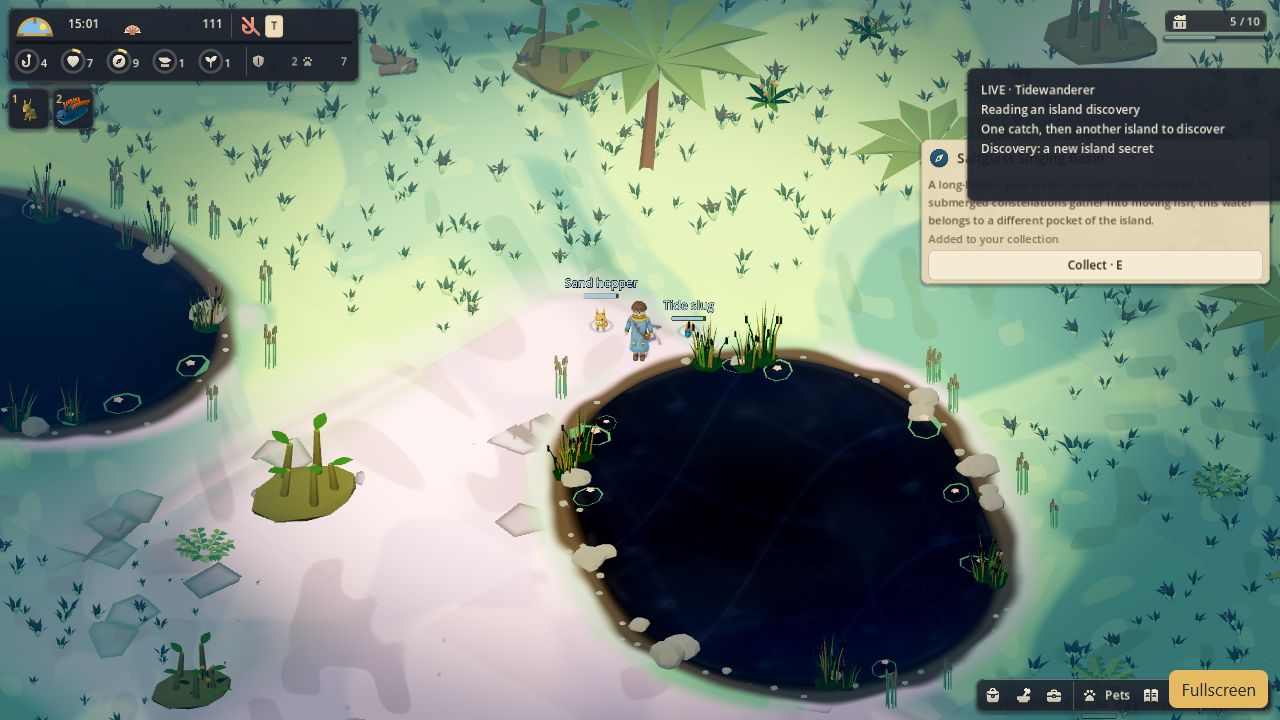 The real explorer travelling with companions on an island